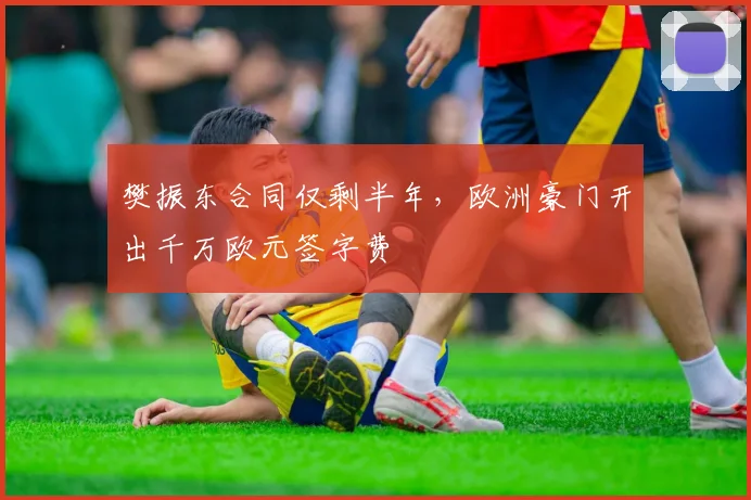 樊振东合同仅剩半年，欧洲豪门开出千万欧元签字费